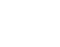 Commercial Security