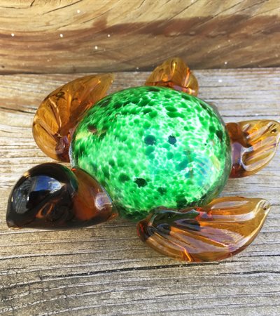 Glass Turtle
