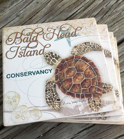 Sea Turtle Coaster Set