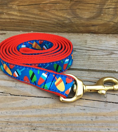Buoy Ribbon Dog Lead