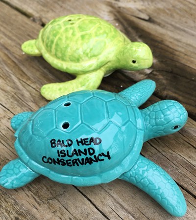 Turtle S&P Shakers