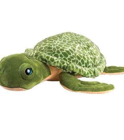 BHIC Turtle