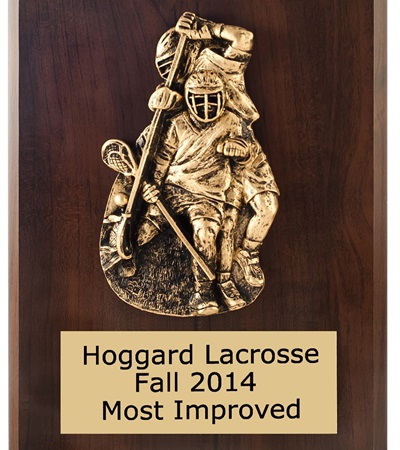 BVR810 - Special Value Plaque FREE Engraving